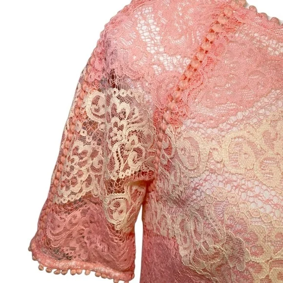Everly Pink and Cream Lace Mini Dress NWT - Picture 5 of 14